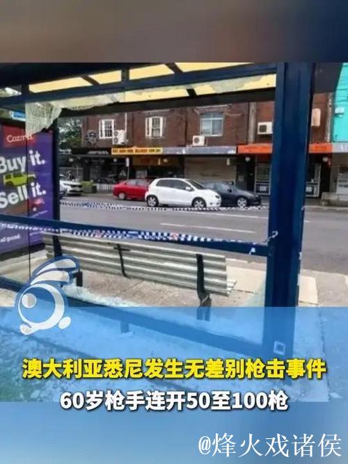 澳大利亚邦迪海滩发生无差别射击事件